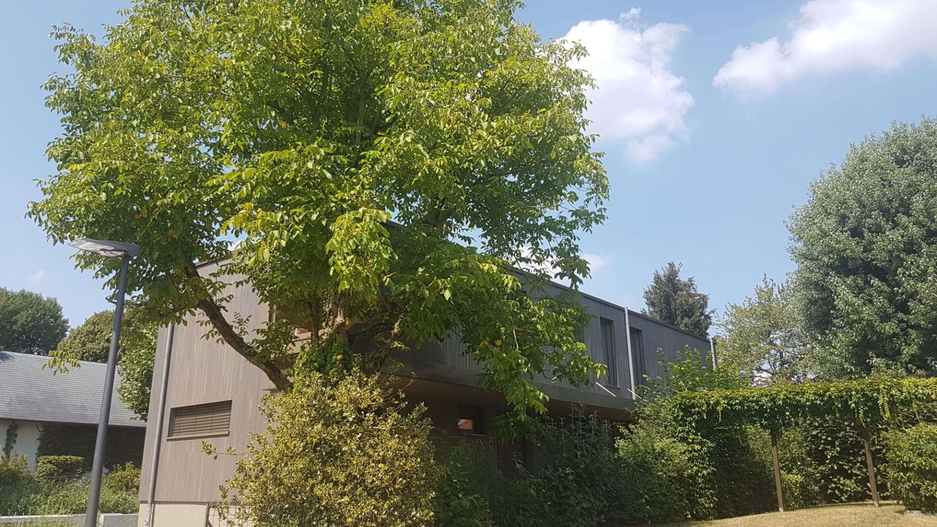 03 20180724 min 03 20180724 min