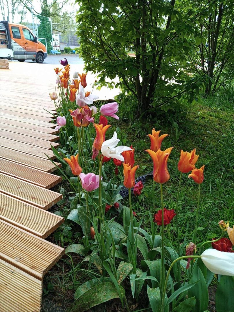 06 de matos dias manuel 2024 04 22 08 10 11 aktuell 06 de matos dias manuel 2024 04 22 08 10 11 aktuell