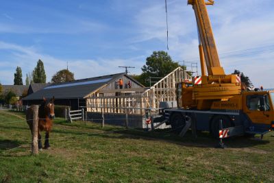 Holzbau, construction en bois, scheune, grange